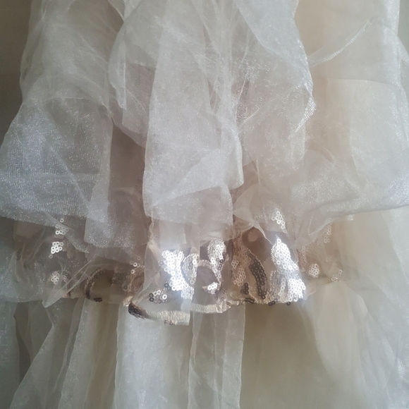 Formal Dress Gown - Picture 6 of 7